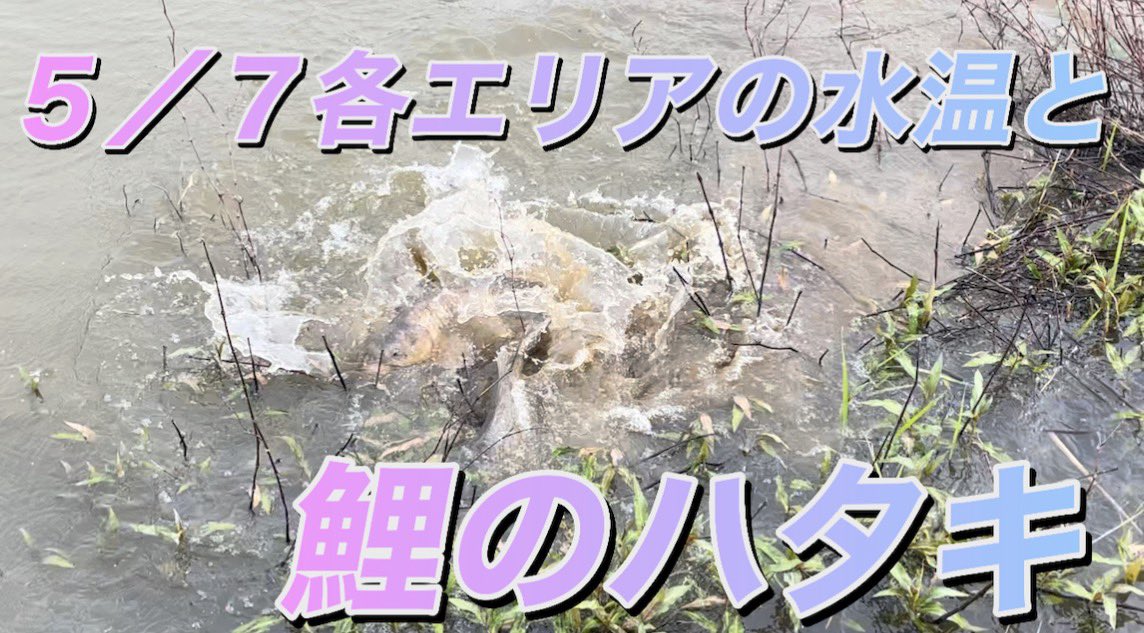 UnagamiT's tweet photo. 5/8 エスカーラチャンネル、動画アップしました https://t.co/FZS4icjInp