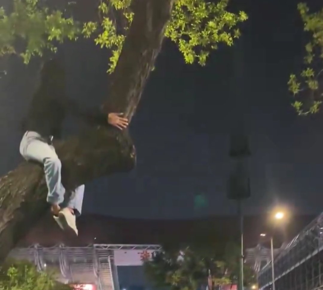 maput⁷ tweet media