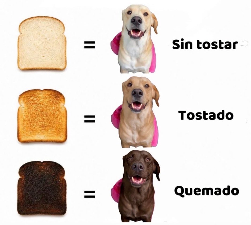 Tipos de perritos: