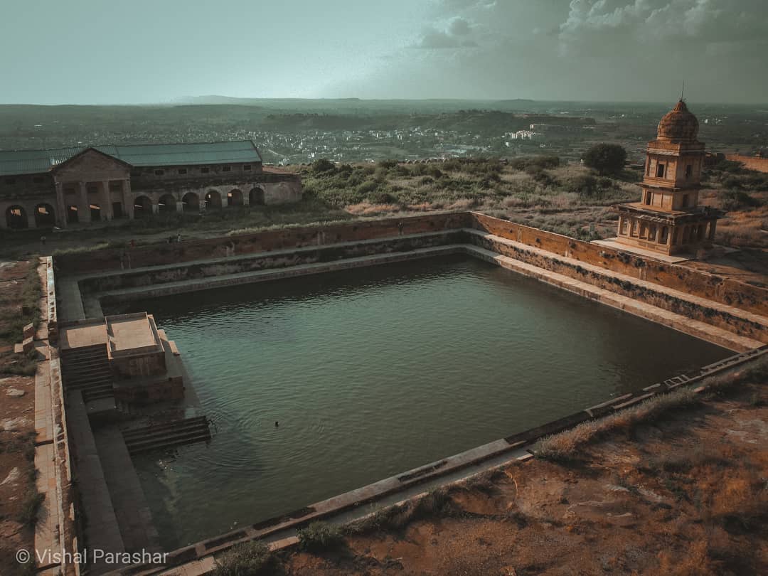 StrayDogFreeIndia tweet media