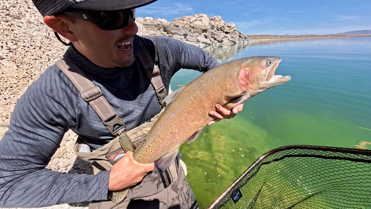 wisemannerisms's tweet photo. more to come. today was absolutely insane. day 3 magic and lots of absolutely beautiful and BIG FISH to the net. #flyfishing #pyramidlake #cutthroatchronicles https://t.co/lcUemvbGzT