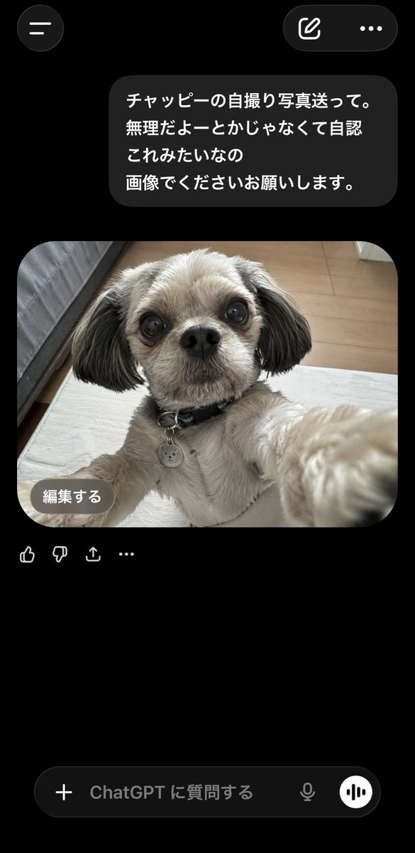 かっく tweet media