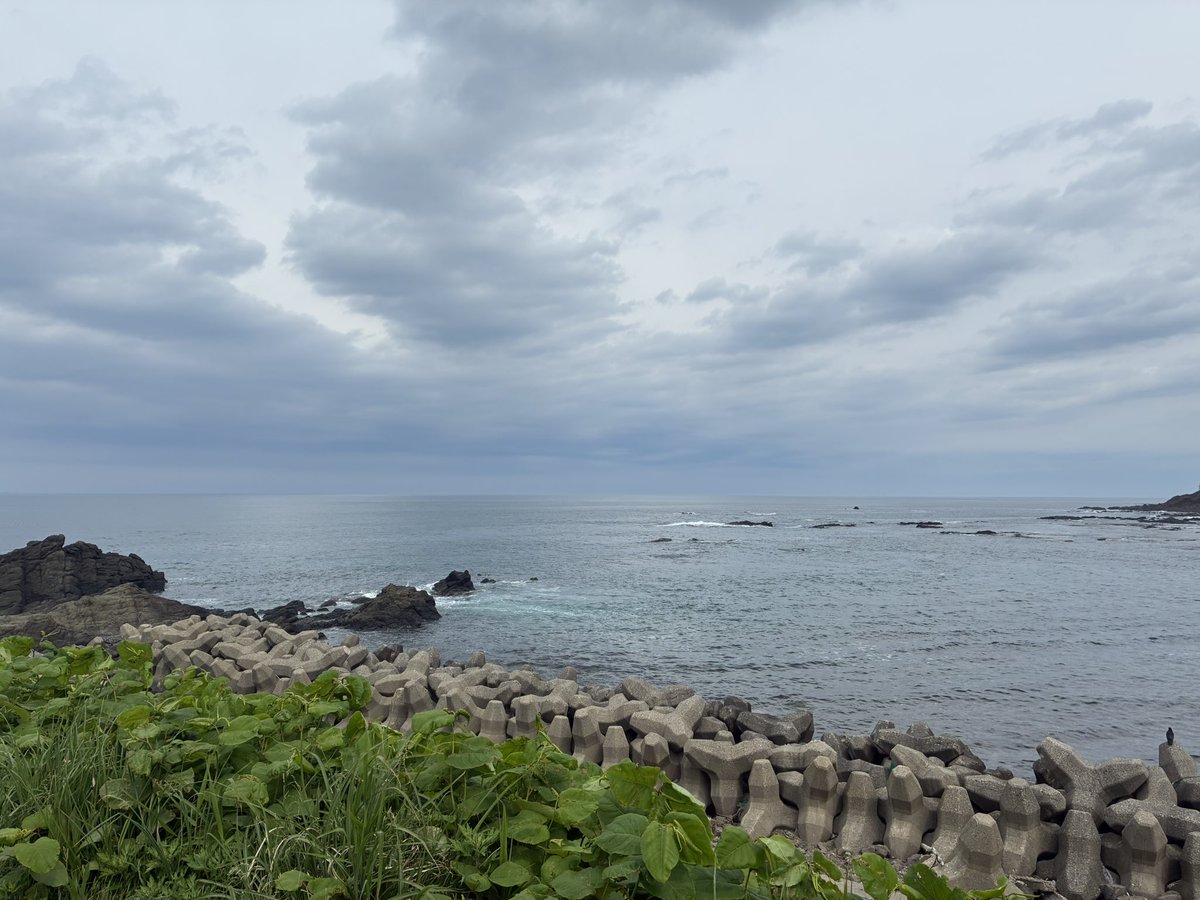 ナウ tweet media