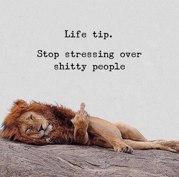 MentalUnleash's tweet photo. https://t.co/CznmVbztKb