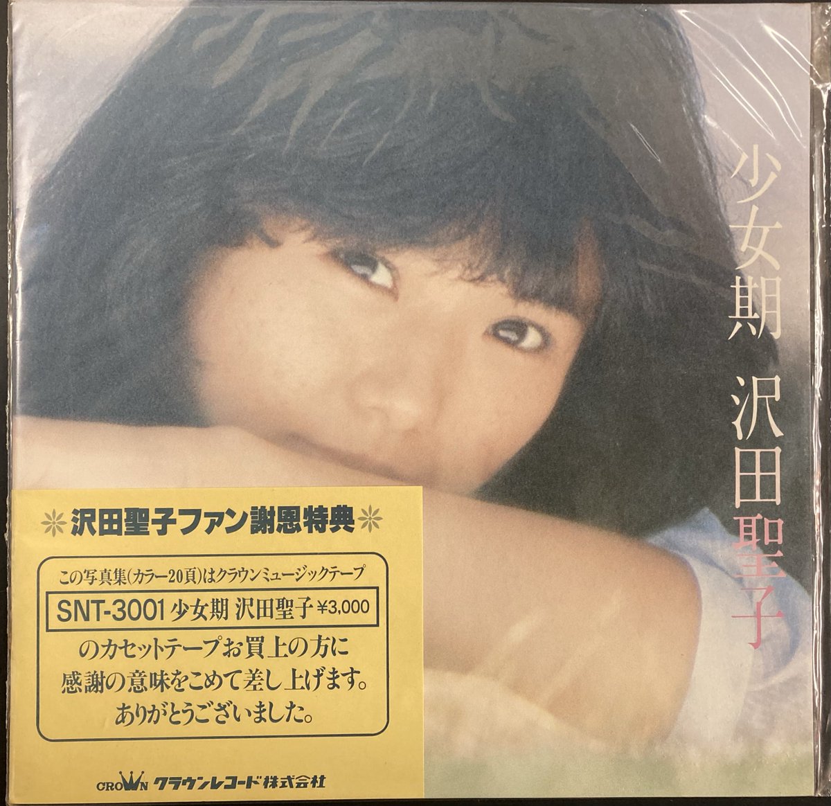 本日入荷の古本から。 1985年発行「沢田聖子写真集 Potential」と1982
