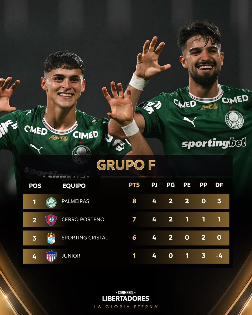 CONMEBOL Libertadores tweet media
