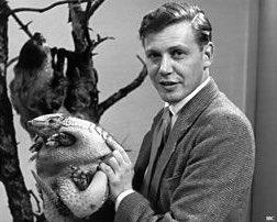 MrFreaki's tweet photo. Buenos días a todos! Hoy felicitamos al gran David Attenborough que cumple 100 años!! https://t.co/F0pcVjujqu