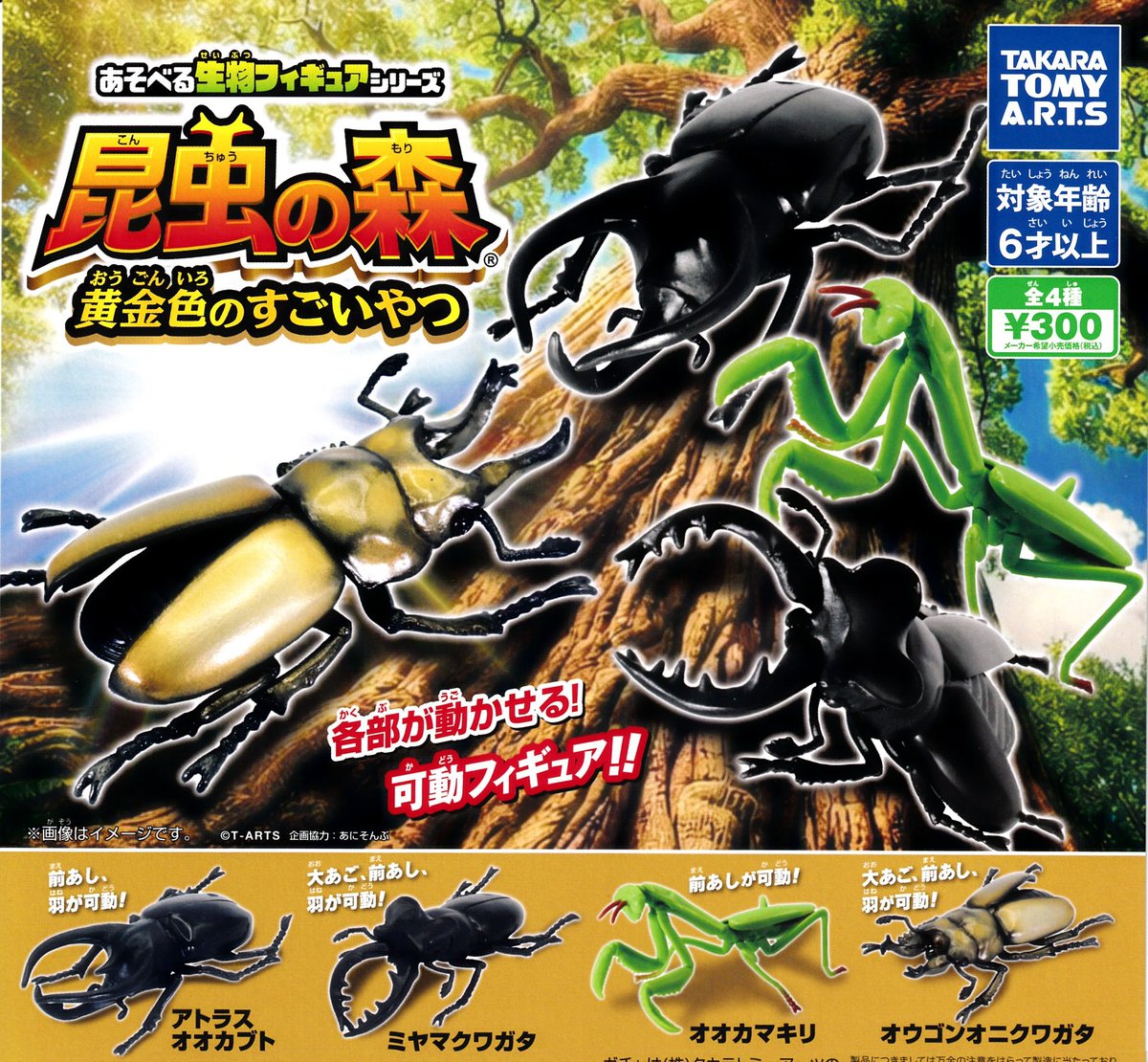 🆕新商品のお知らせ🆕 🌟昆虫の森 黄金色のすごいやつ 🌟もっちり