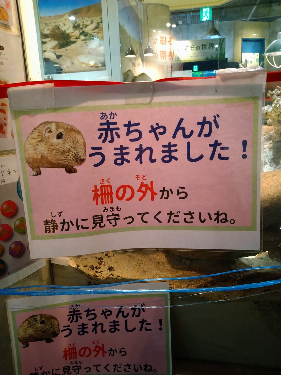 ちゃんゆう tweet media