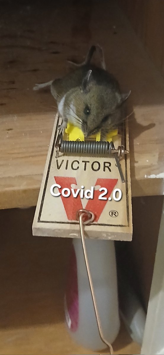 1DaveLow tweet media
