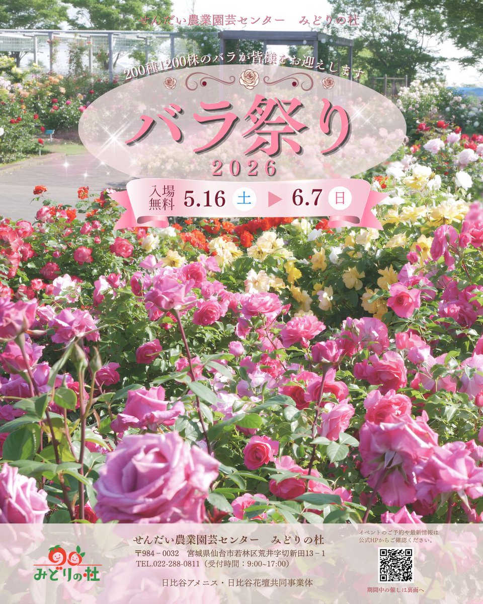 🌹バラ祭り2026🌹 約200種1200株のバラが咲き誇る、みどりの杜のバラ園