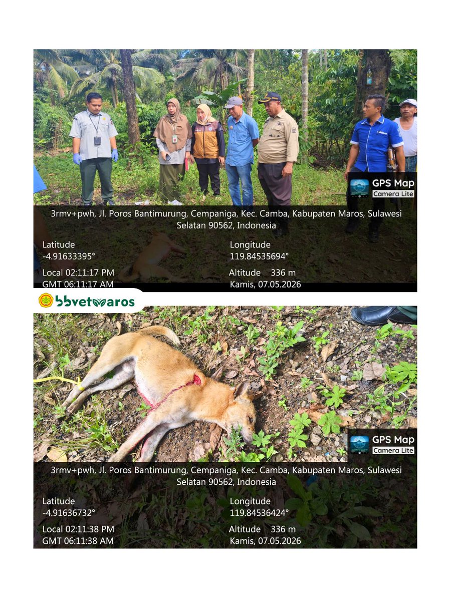 Balai Besar Veteriner Maros tweet media
