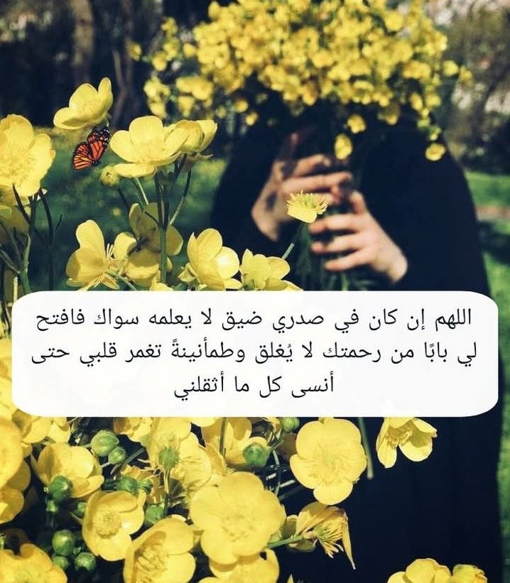 Jamilah tweet media