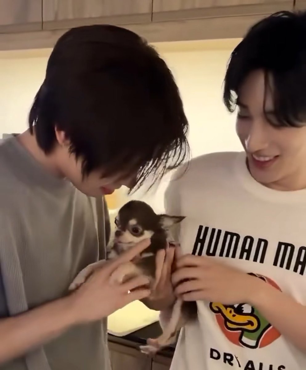 เติ้ลเฟิร์สตอนอยู่กับน้องหมา = อินทัชชอบคุณ in real life มาก y y คือเป็นคนรักสัตว์ทั้งคู่อะ เห็นม๋าเป็นไม่ได้เอาหน้าจุ่มหมด น่ารักจนใจจาแตก ฮึกๆๆๆ❤️‍🩹❤️‍🩹