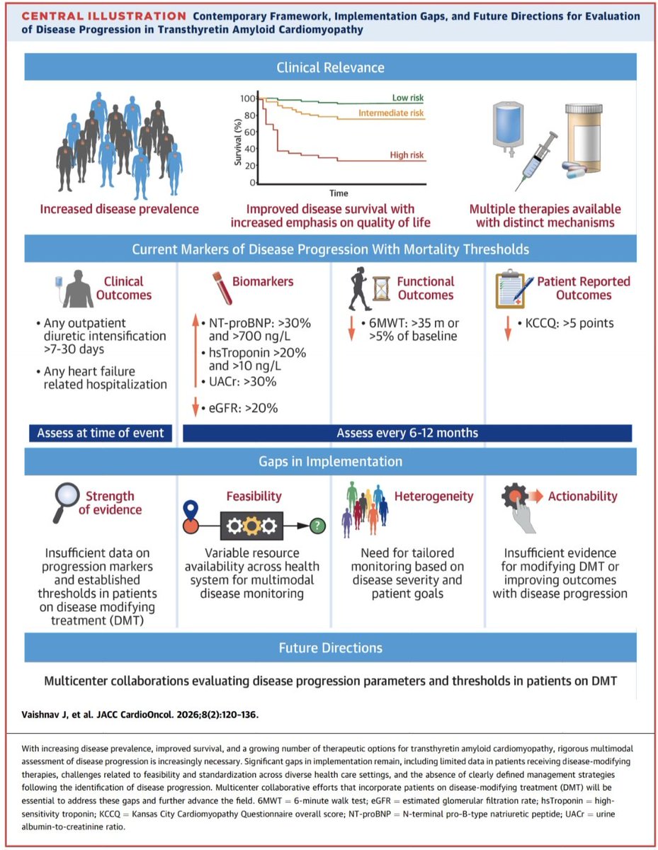 javier20ch's tweet photo. Detección de progresión de la Amiloidosis Cardíaca por Transtirretina. 🧐🔎🫀
🔷️El gran reto actual no es solo diagnosticar ATTR-CM, sino identificar quién progresa y cómo monitorizarlo. Los marcadores más útiles de progresión incluyen:
✔️ Incremento de NT-proBNP >30% y >700 ng/L.
✔️ Intensificación de diuréticos.
✔️ Hospitalización por Ins. Cardíaca.
✔️ Caída en la distancia de caminata de 6 minutos.
✔️ Deterioro en calidad de vida (KCCQ).
✔️ Cambios ecocardiográficos y por RM cardíaca.
‼️Incluso un aumento sostenido en diuréticos se asocia con ≈2 veces más mortalidad, muchas veces meses antes de la hospitalización por IC. 🫨💦

📜🆓️⤵️ State-Of-The-Art Review @JACCJournals 👌🏻 
https://t.co/KUK36zjkC2
https://t.co/NQ0jxS09JY