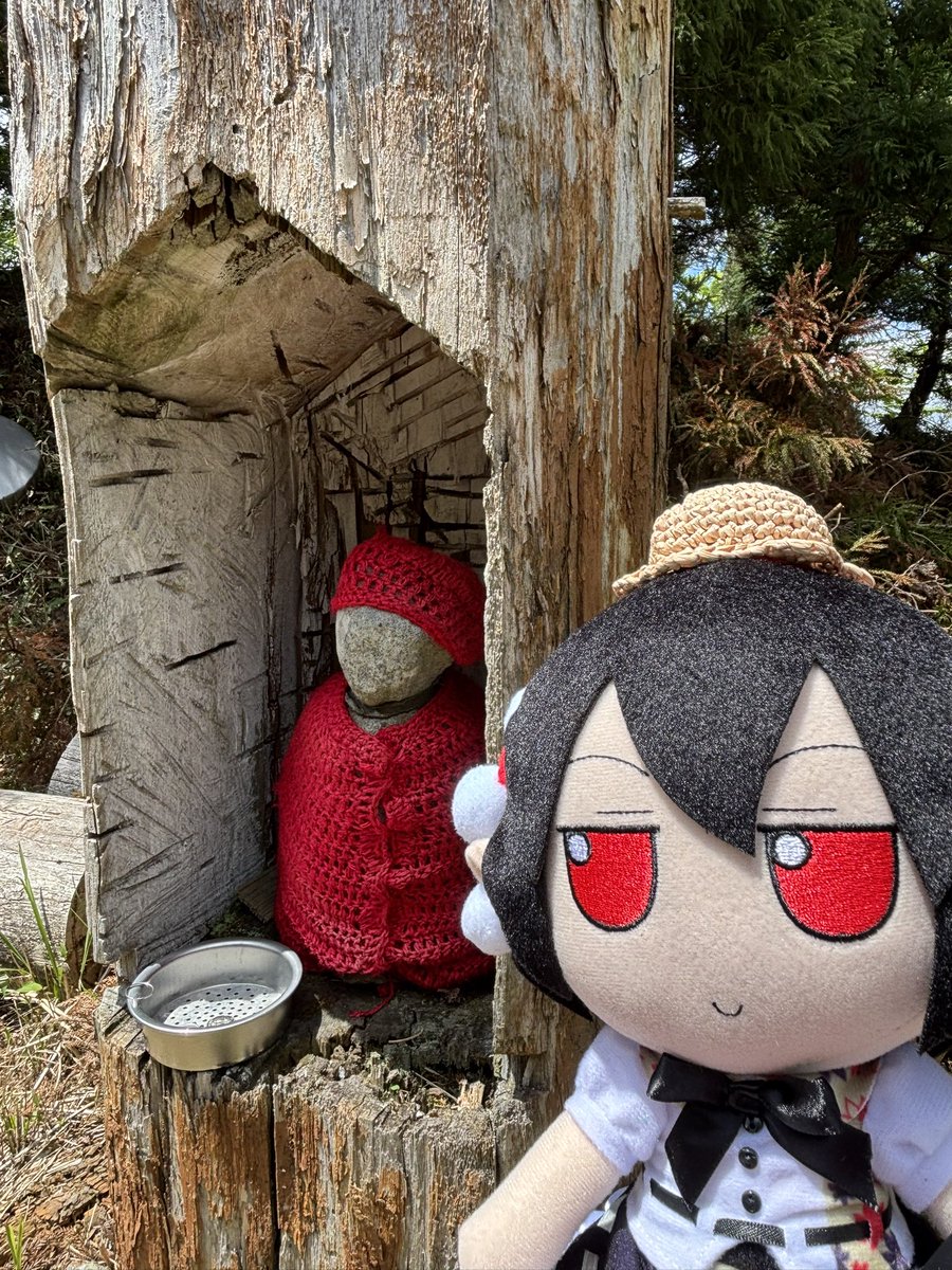 めしだ 春例 は-25b tweet media