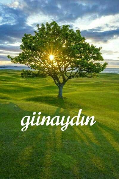 Kerem75 tweet media