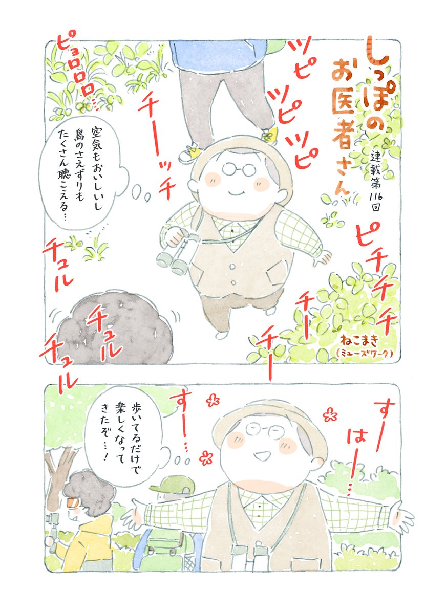 🐾✨ねこまきお知らせ✨🐾 📘『しっぽのお医者さん』第4巻、251201（月