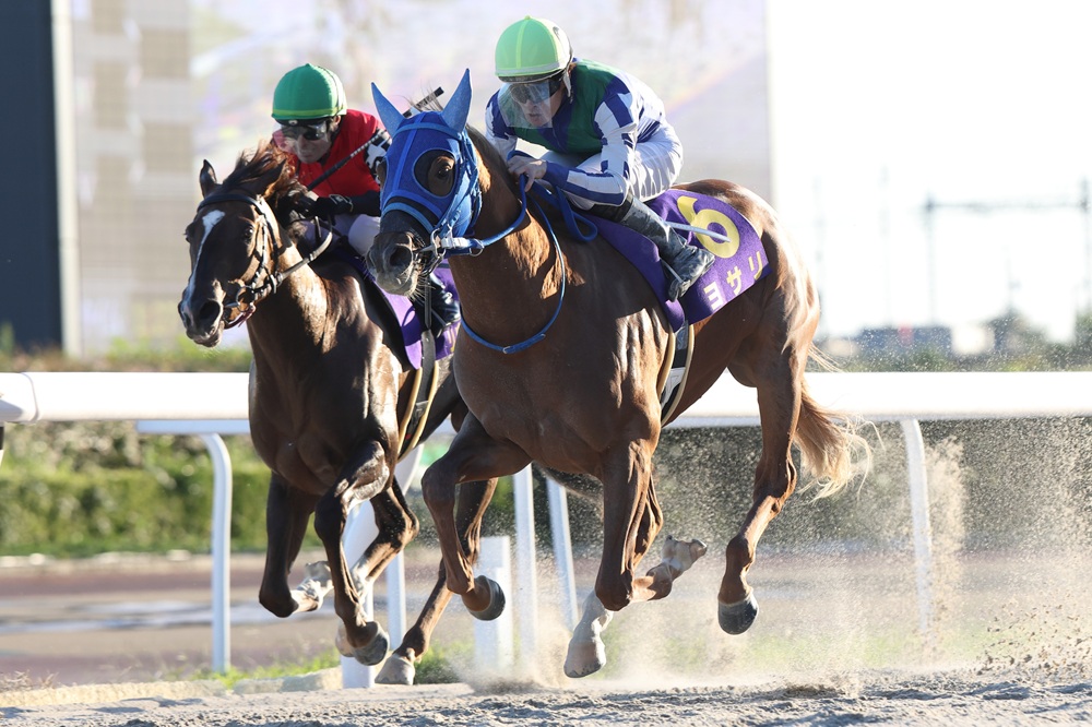 笠松競馬場 tweet media