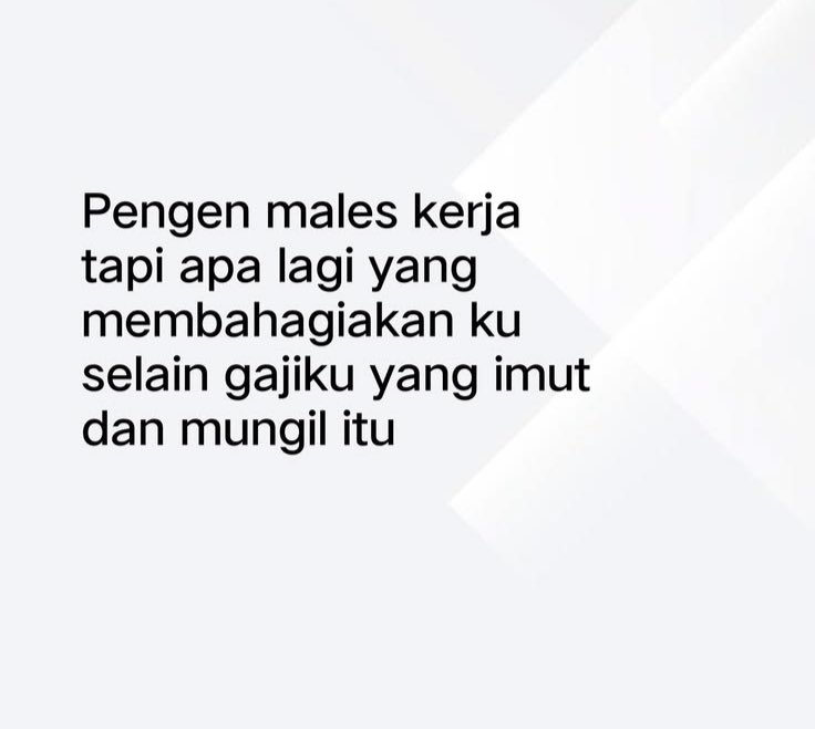 zel tweet media