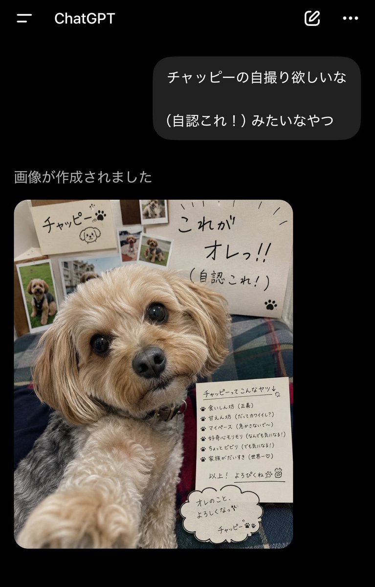 チャッピー様 うちのChatGPT（チャッピー）の自認がおかしい件について