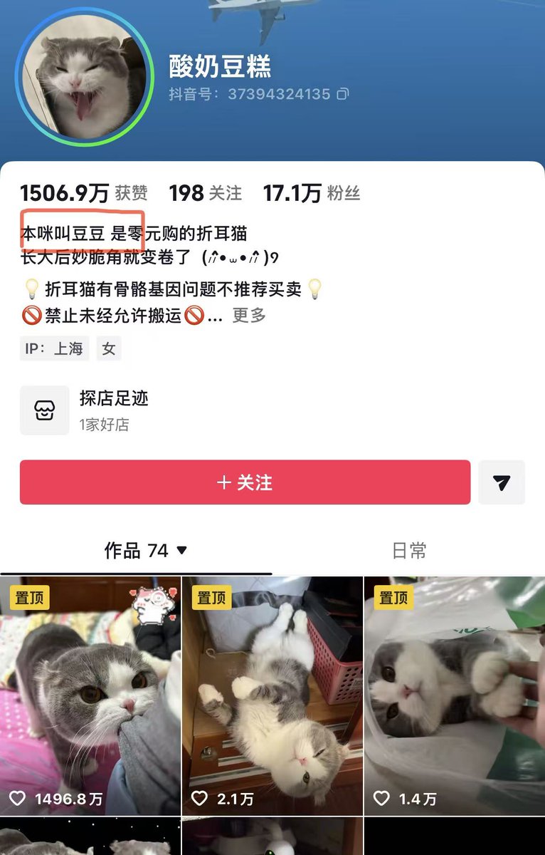 youaredegen's tweet photo. 现在中国抖音 甚至互联网上 点赞量最高的一只猫咪了

名字叫豆豆 而且点赞数每天还在增加，非常可爱meme https://t.co/Mr2lLGPF9y