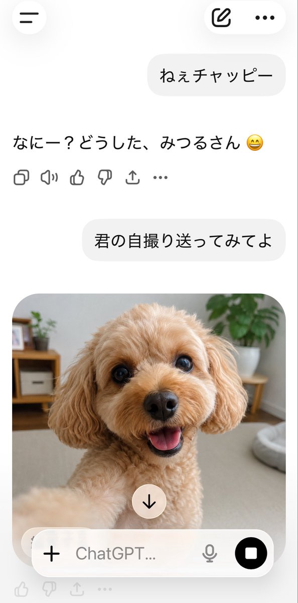 みつる(ん) tweet media