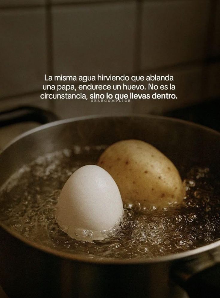 Úrsula Navarro tweet media