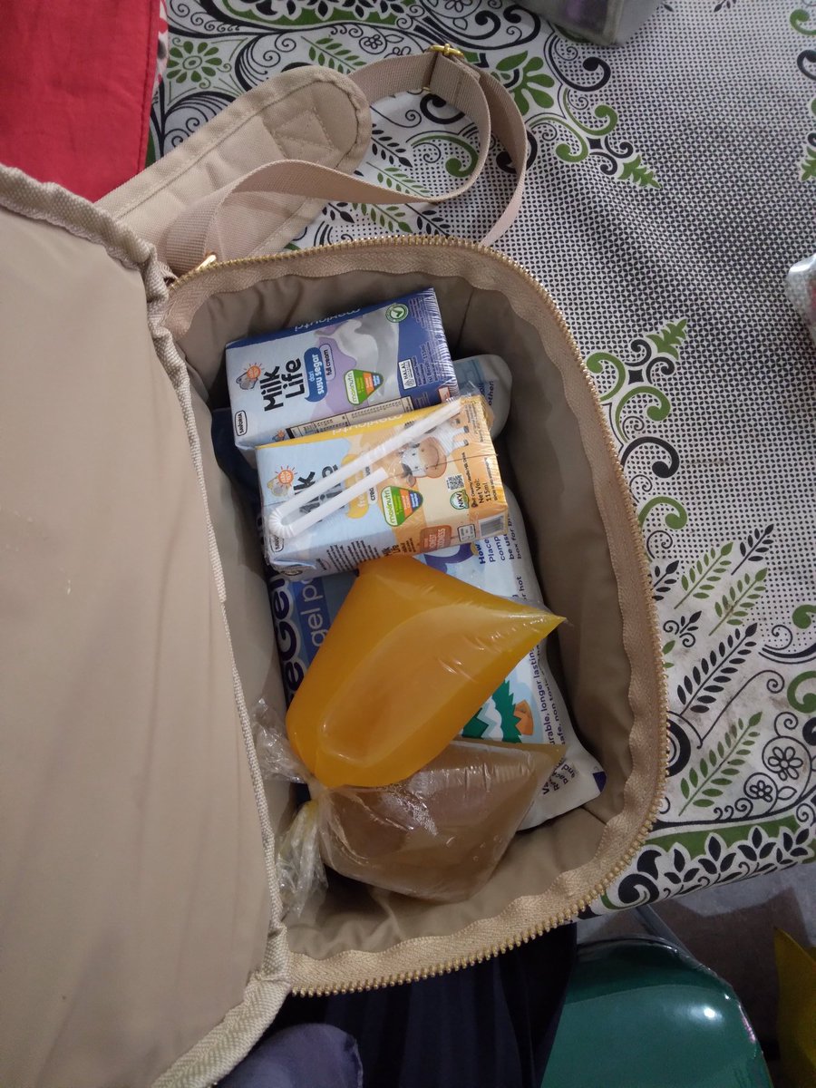 brown_zda's tweet photo. Cooler bag asi diisi susu mbg sama jamu 😂 https://t.co/agdbDlARdM