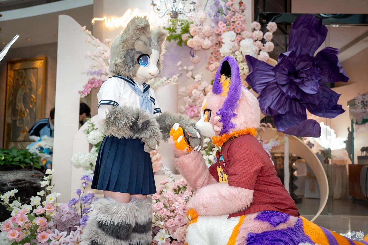 sumimaru710's tweet photo. 请吃糖🍬 (๑>؂<๑)

#FursuitFriday #furry #fursuit https://t.co/Y3QLmloAET