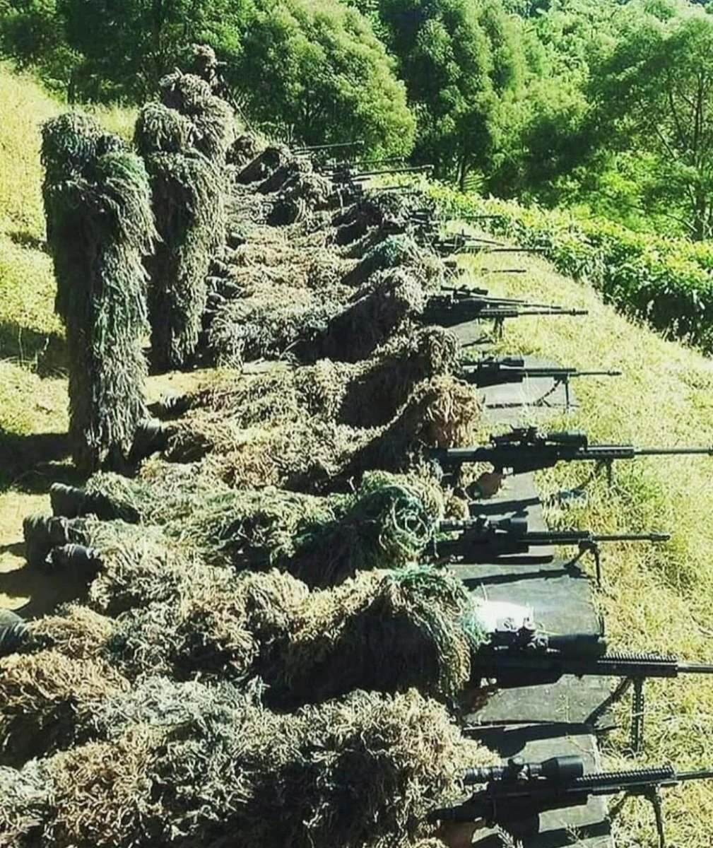 War Flash tweet media