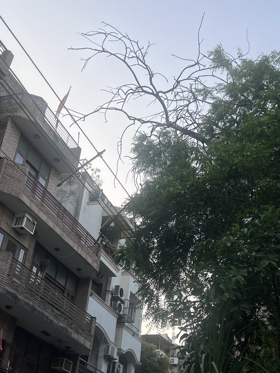 mathurakhil2212's tweet photo. @upadhyaysbjp @CMODelhi Before there is mishap happens property cars damaged and people get hurt request to get this falling tree , cut. RWA has requested all departments no help. Who will be responsible for damages or human life if this tree falls. Help https://t.co/Cv7hUjTHka