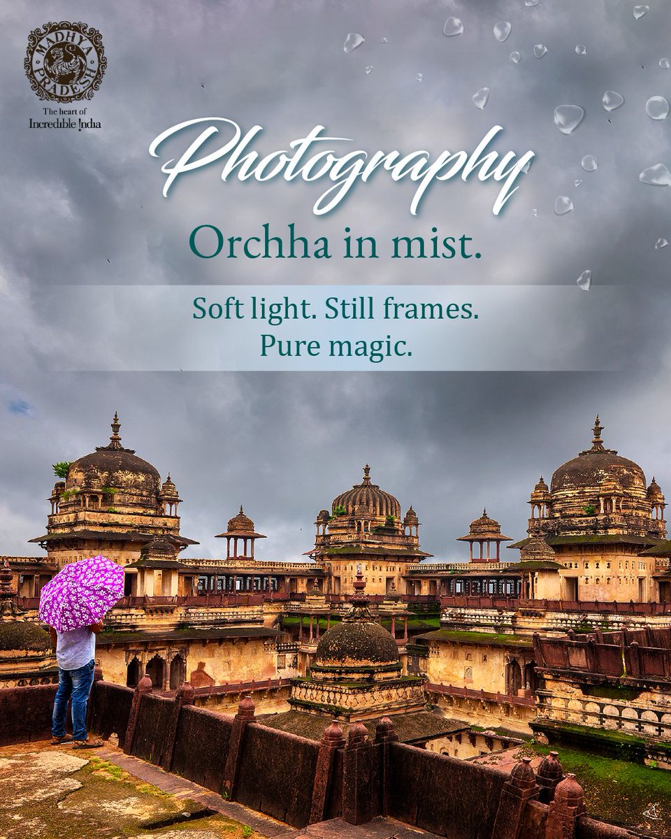 MPIntltourism's tweet photo. It’s for those who want to feel heritage, wilderness, wellness, sacred energy, and hidden beauty all in one trip.

Share it with your travel partner. And add Madhya Pradesh to your India itinerary now.

#HeartOfMonsoon #MadhyaPradeshTourism #IncredibleIndia #MonsoonInIndia https://t.co/zq5LCai9Ij