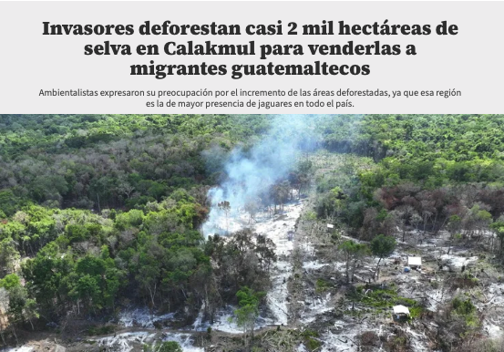 Esto sí es un tema de seguridad nacional, de interés internacional (reserva protegida por la UNESCO).

¿Dónde está la <a href="/Defensamx1/">@Defensamx</a> ? ¿Dónde está la <a href="/GN_MEXICO_/">Guardia Nacional</a> ? ¿Dónde está la <a href="/PROFEPA_Mx/">PROFEPA</a> ? ¿Dónde está la <a href="/CONANP_mx/">CONANP</a> ? ¿ Dónde está la impresentable <a href="/LaydaSansores/">Layda Sansores</a> ?