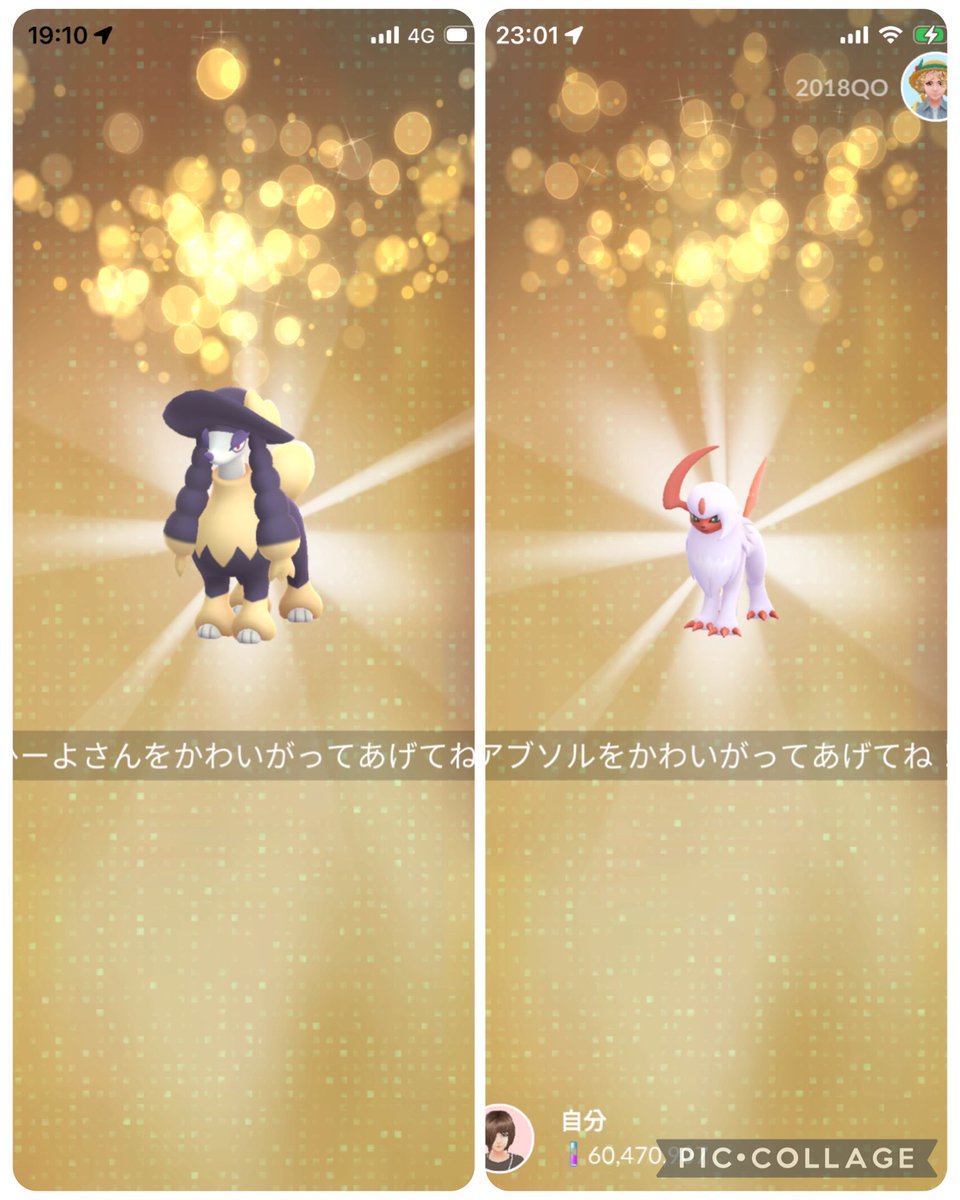 ひーよ tweet media