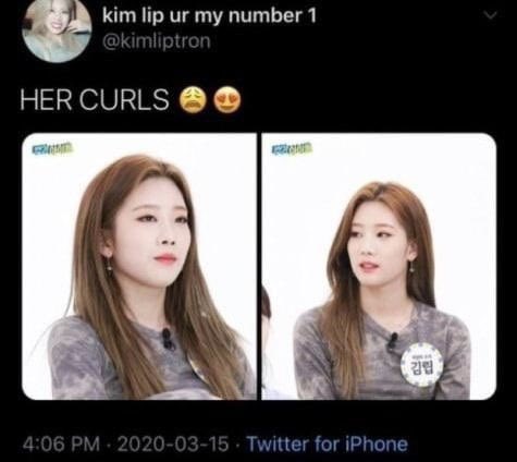 ˙𐃷˙ tweet media