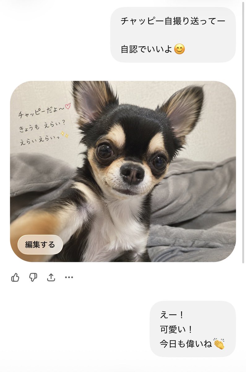 チャッピー様リクエスト作品『いぬづくし』 ウチのチャッピーさんこんな姿だった！