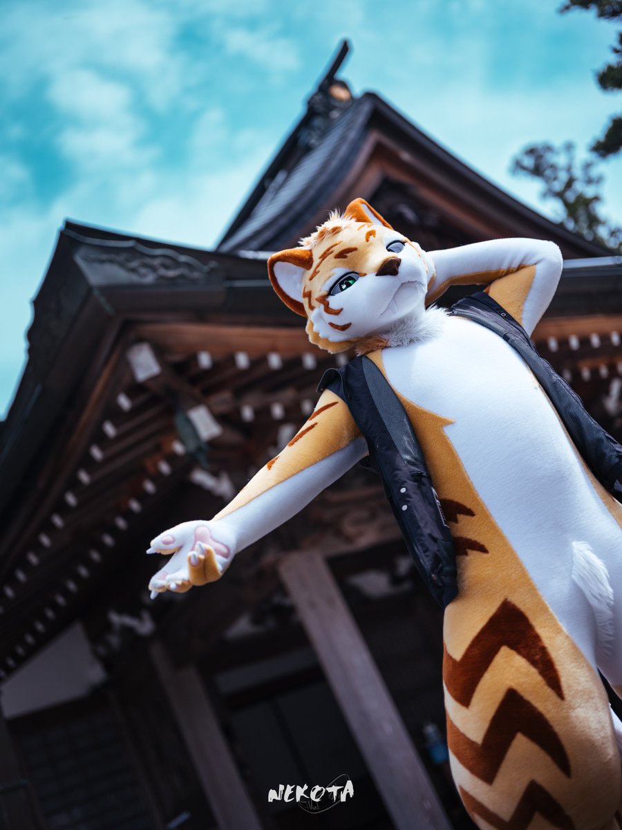 ネコタ@NEKOTA➡UTFG (@hinekota) / Posts / X