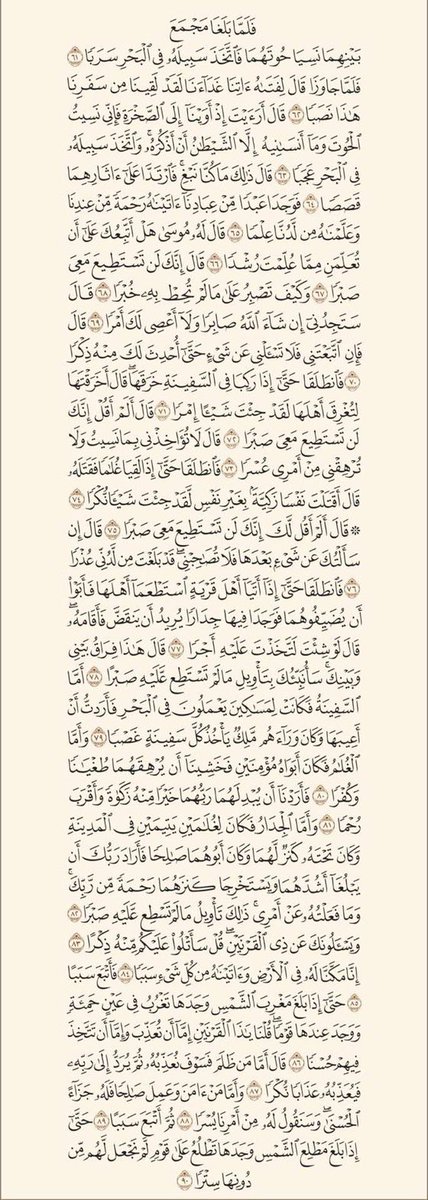 ّ tweet media