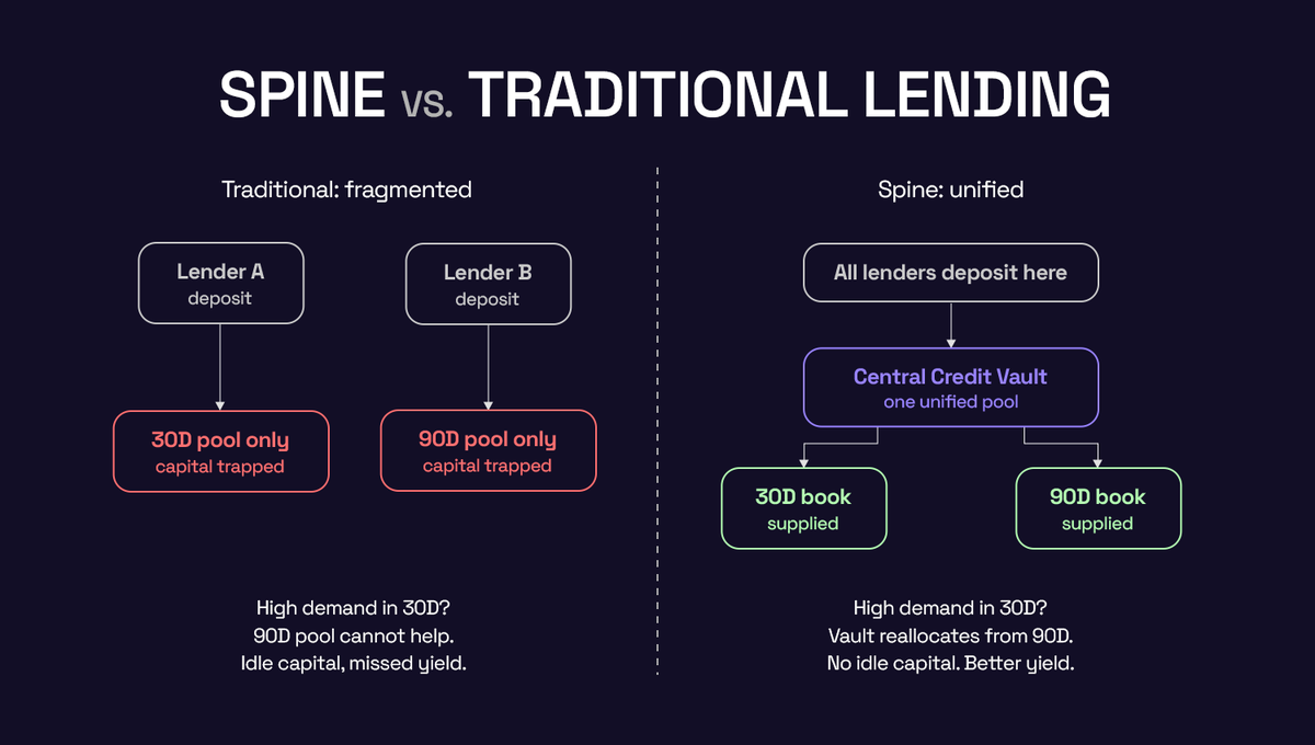Spine Finance tweet media