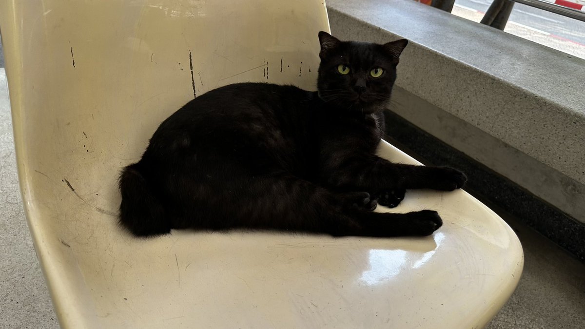 new 🐈‍⬛🏳️‍🌈🏳️‍⚧️ #ปกป้องโฉนดชุมชน tweet media