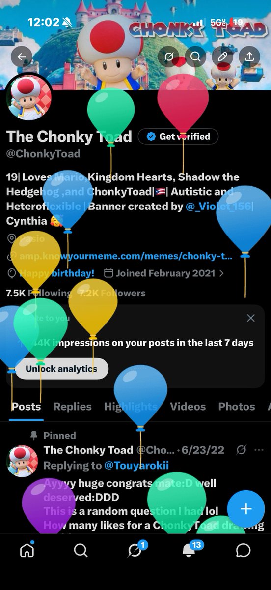 The Chonky Toad tweet media