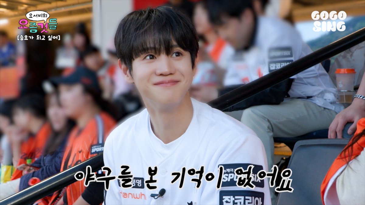 고고씽 GOGOSING tweet media