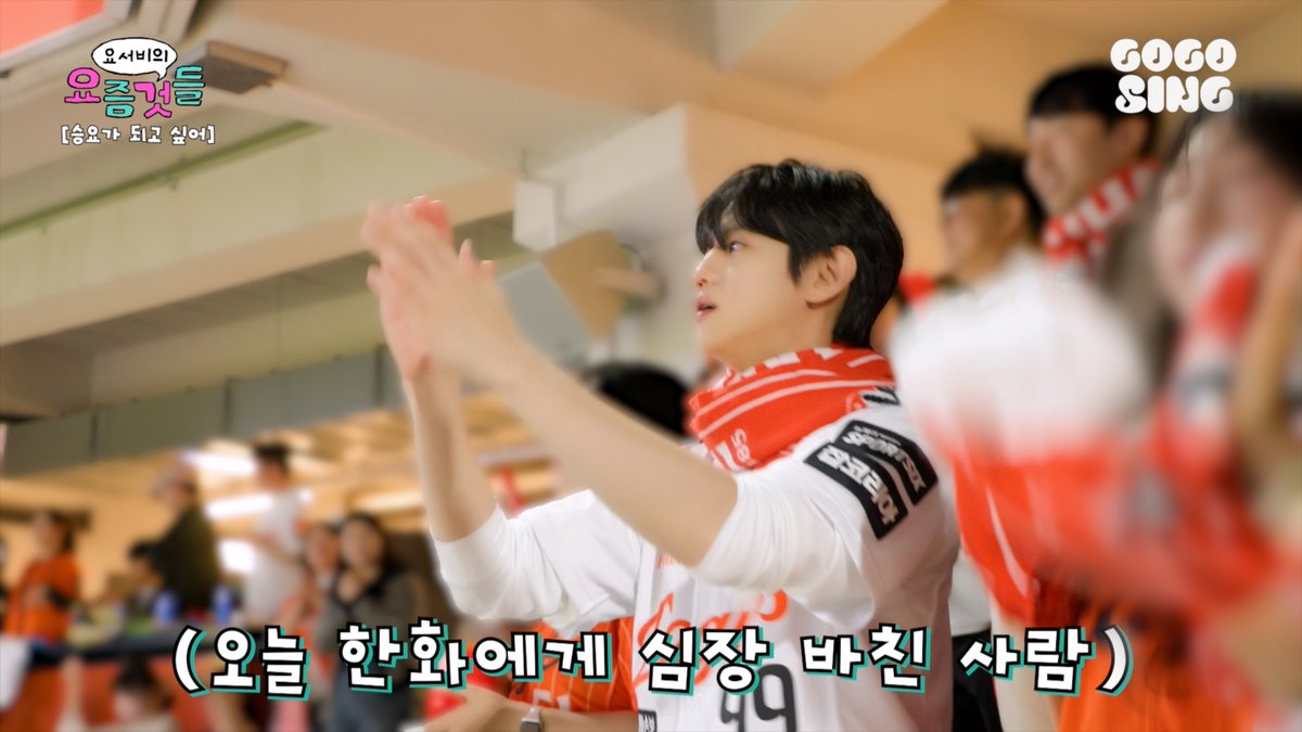 고고씽 GOGOSING tweet media