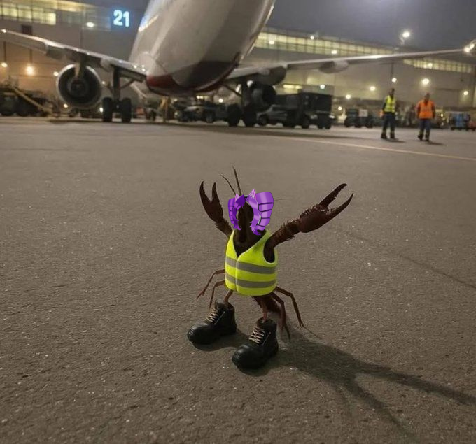 lexithelynx's tweet photo. Actual picture of me directing traffic to my stream https://t.co/OaRUcg9fS3