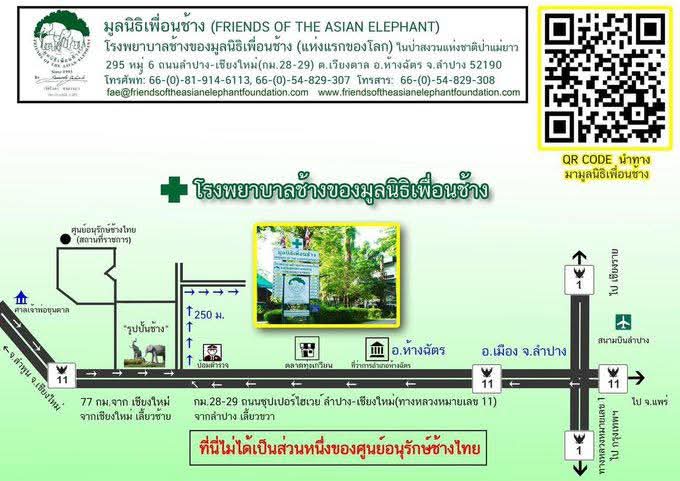 ชลน แมวส้มแท้ๆ 🐱 tweet media