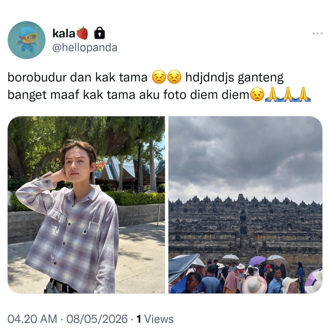 Sesa tweet media