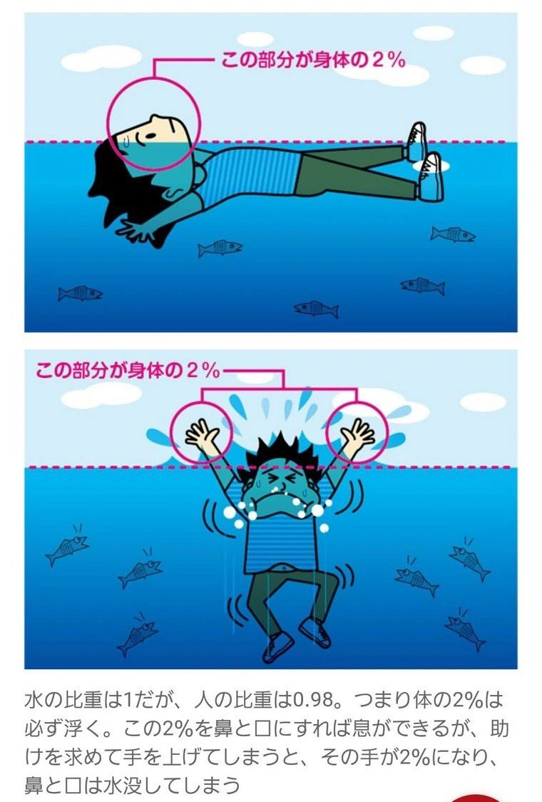 進撃のバズ動画 tweet media