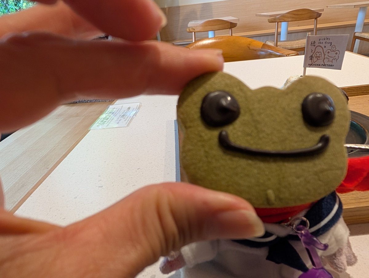 歩いてきちゃいました。