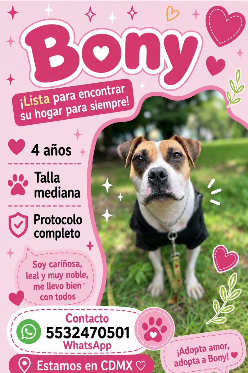 Bony busca una familia.🩷

Bony sufrió los peores tratos en la calle,embarazada,sola y con hambre aguanto hasta ser rescatada.

Se esterilizó,y desde hace un año está esperando una oportunidad.

Dale una oportunidad a una perrita que ha luchado muchísimo por sobrevivir.

Si no la